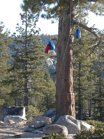 Keep the food out of bear reach......didn't see any so...