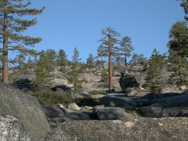 Just rock, boulders and trees