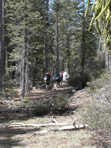 Along Kibbie Ridge trail