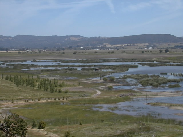 Viansa Winery - Overlooking bird sanctury