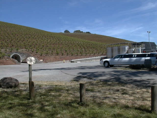 ....and their vinyards and fermenting tanks
