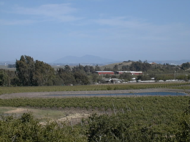 Lower Sonoma Valley from Gloria ?? Champagne Winery