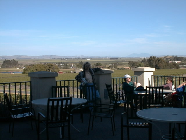 View from the wineries terrace...good pillar for support